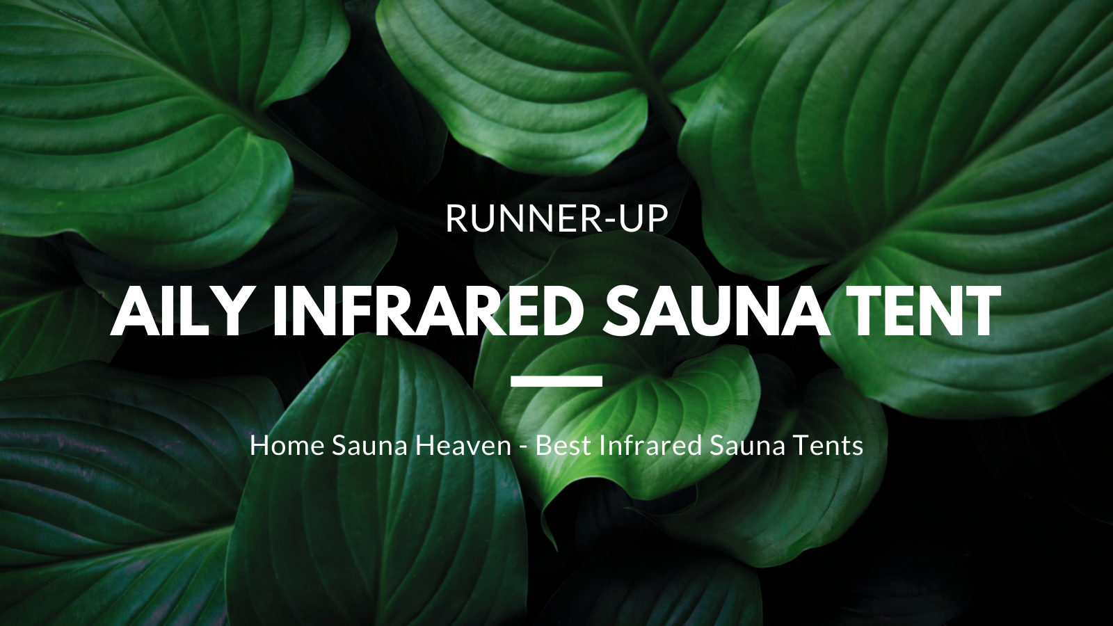 AILY INFRARED SAUNA TENT