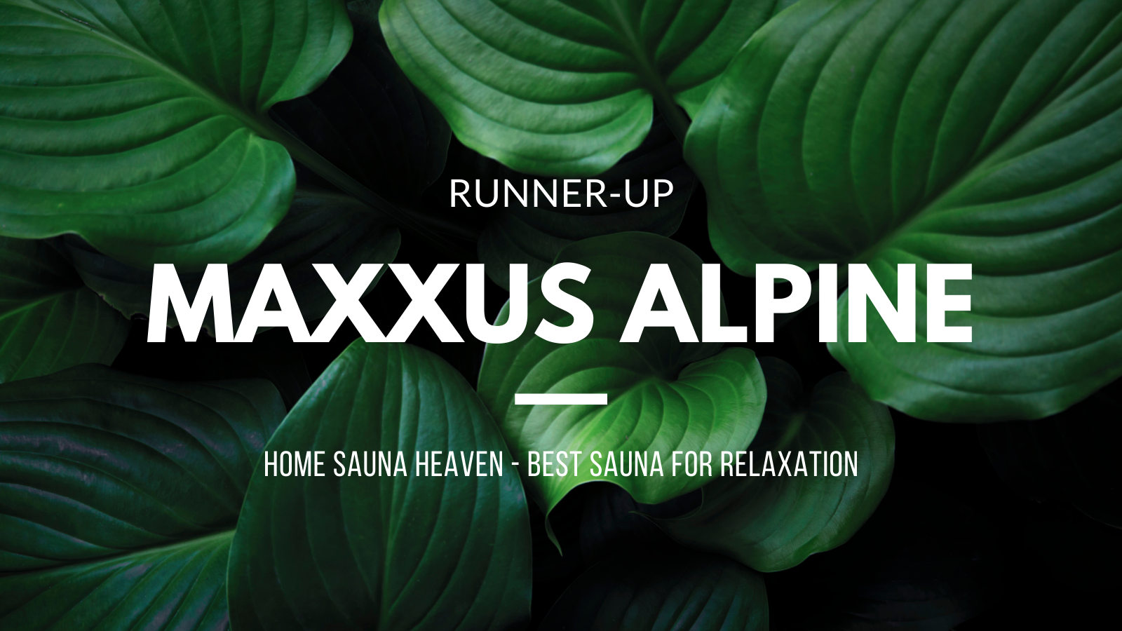 Maxxus Alpine Sauna