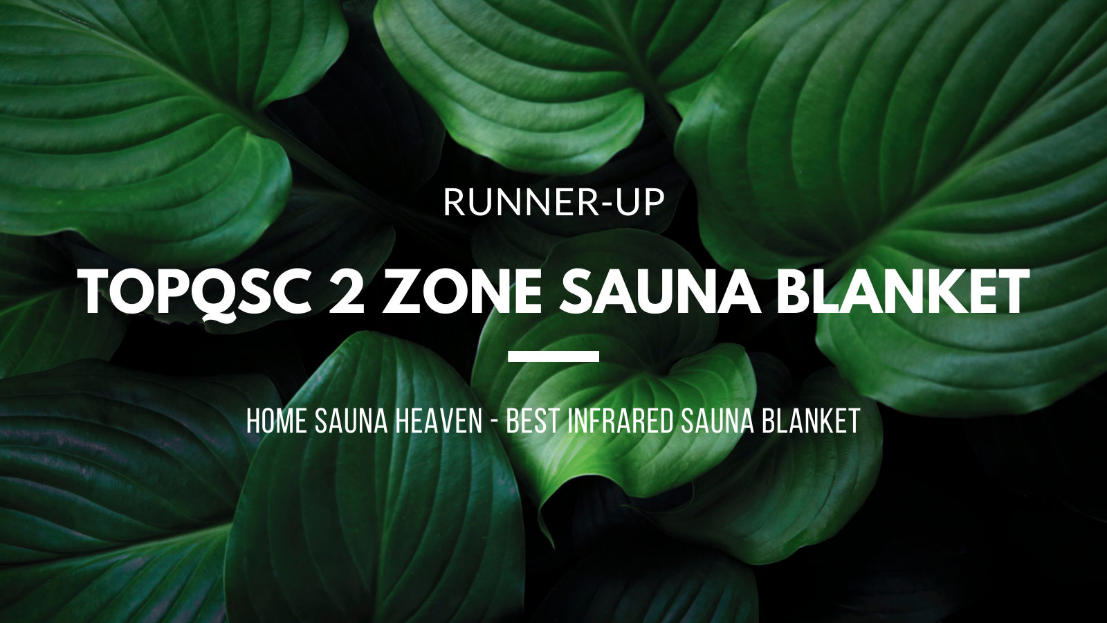 TOPQSC 2 Zone Infrared Sauna Blanket