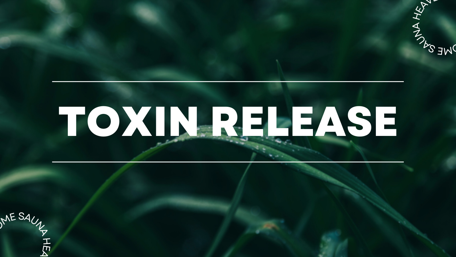 toxin release in sauna