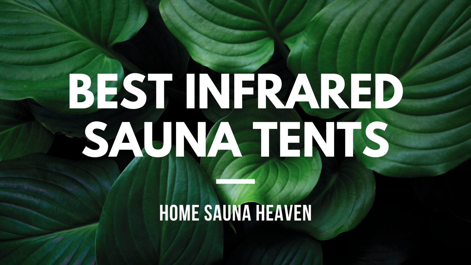 best infrared sauna tent reviews