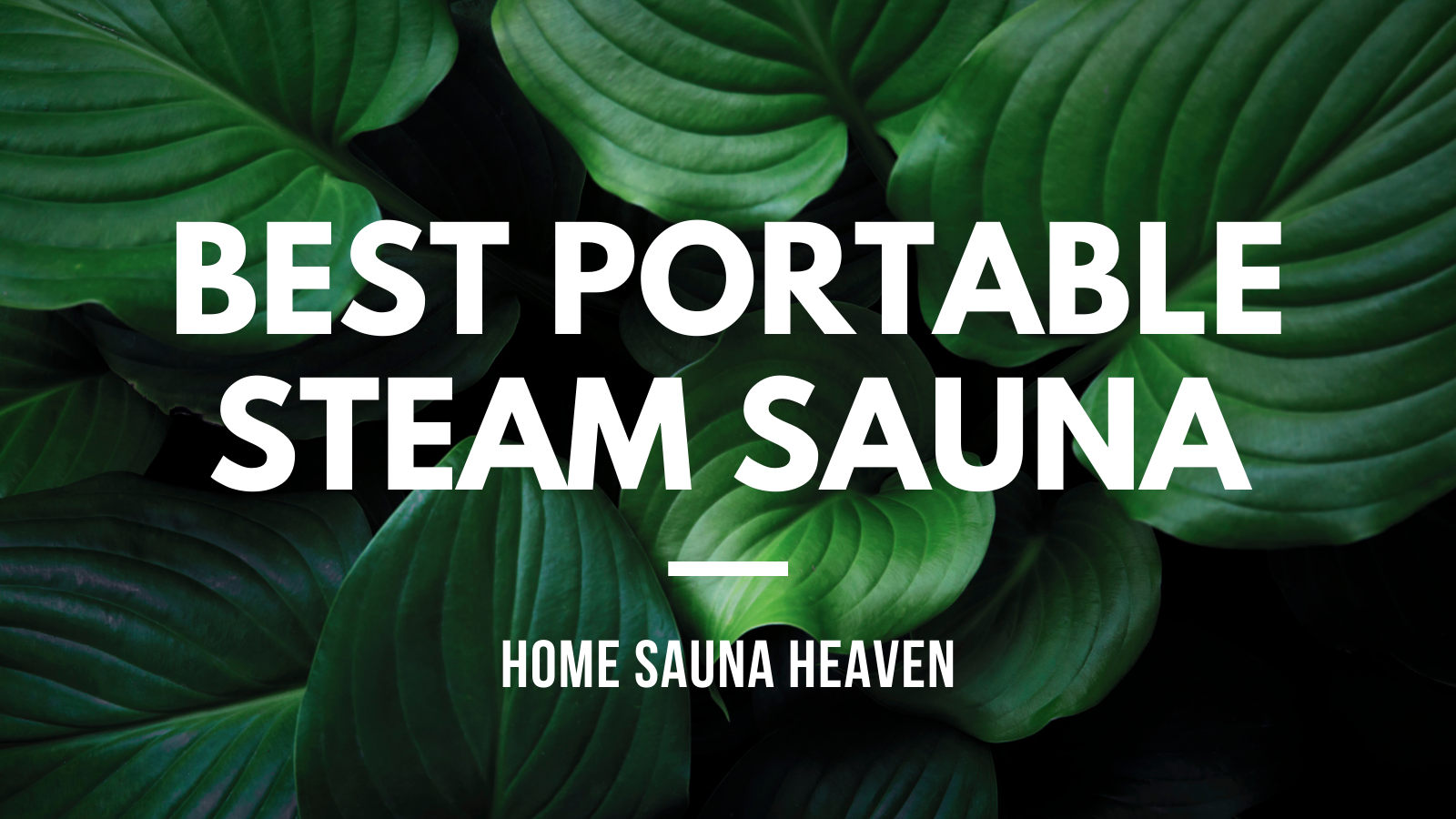 Best Portable Steam Sauna