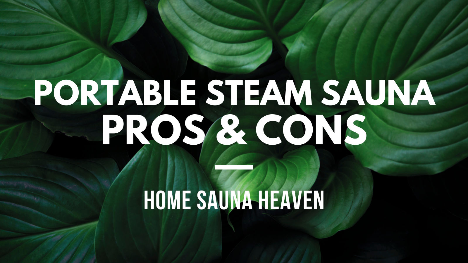 pros and cons of portable steam sauna