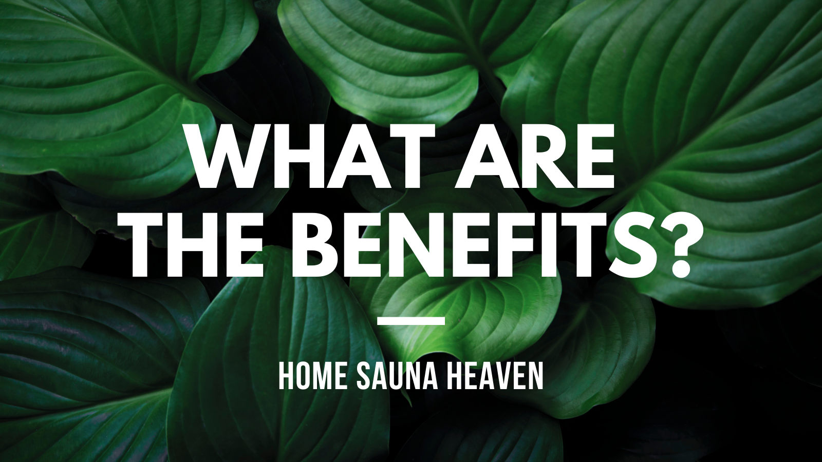 WHAT ARE THE BENEFITS?