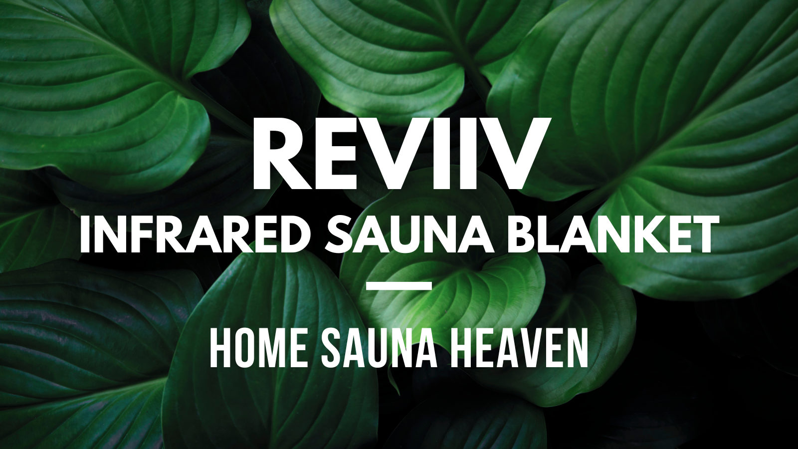 Reviiv Infrared Sauna Blanket Review